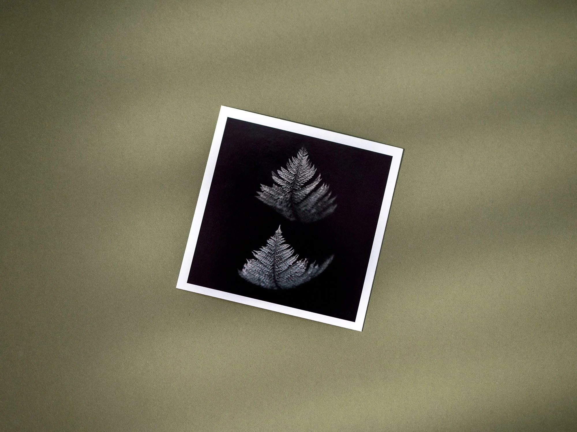 Vision Imageprint One Vision Imaging | UK - Pic-Time Blog