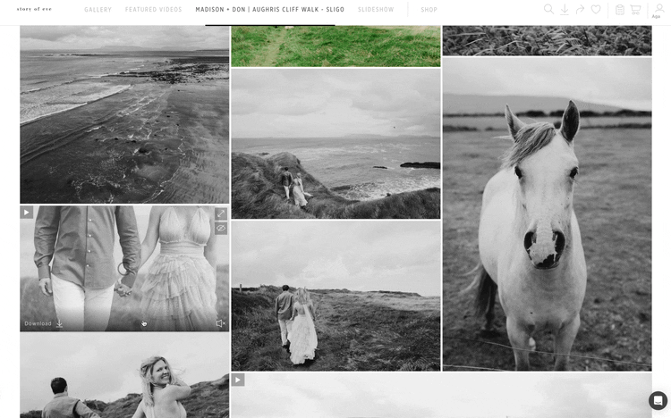 Hybrid Storytelling: Why Top Photographers are Embracing Video 12 Clips autoplay next to your images inside the gallery (Credit: Story of Eve)