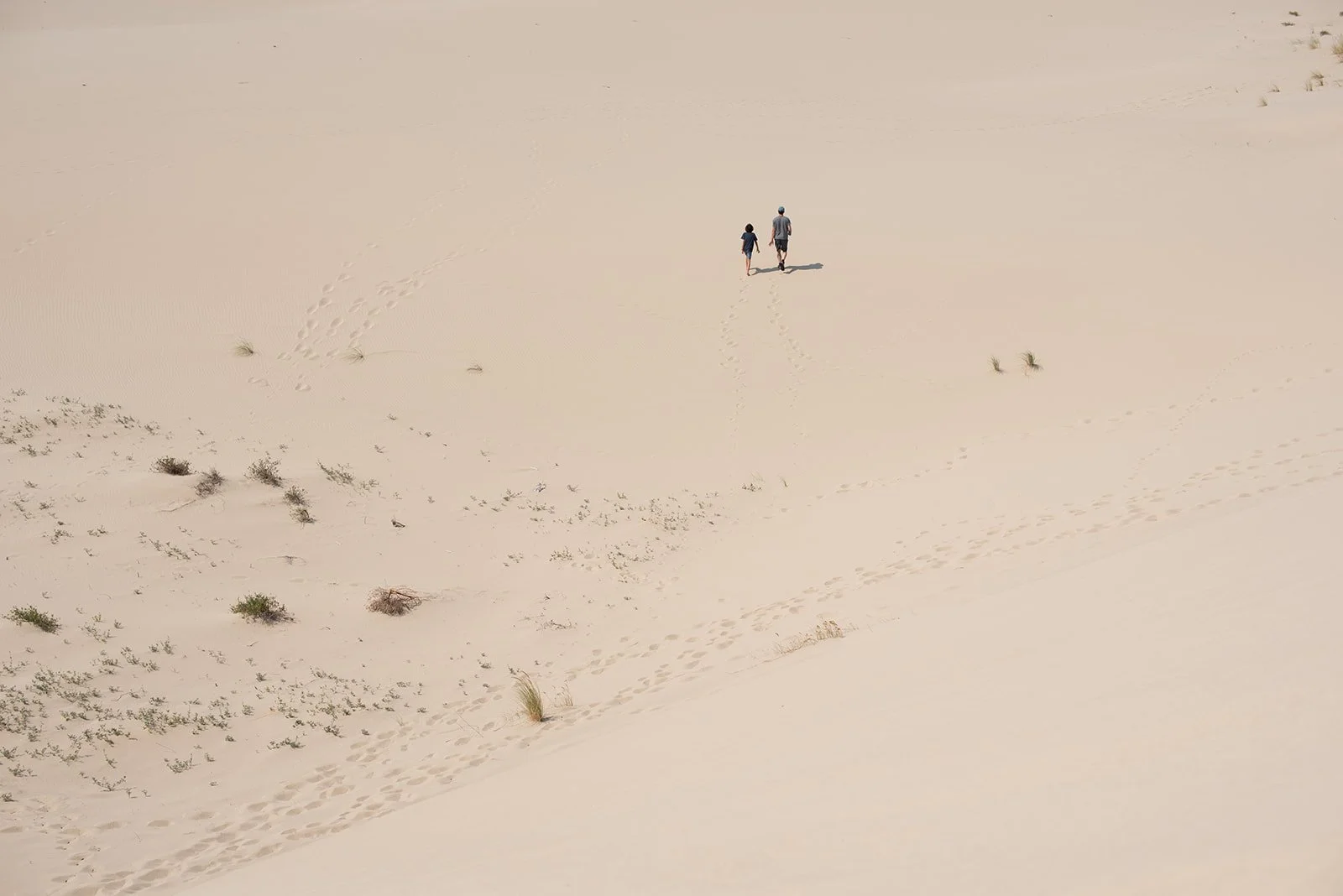 Shaping an Industry: A Co-Founder’s Journey in Art & Business 14 Shaping an Industry: A Co-Founder’s Journey in Art & Business 13