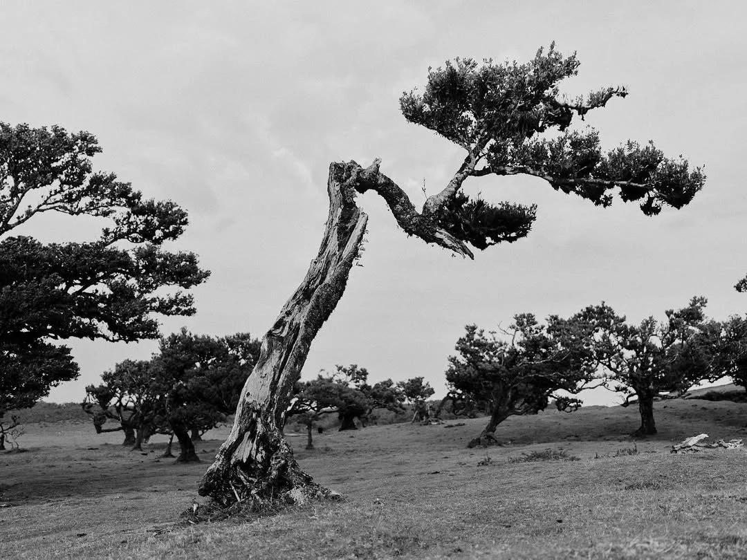 Pic-Time Stories: Cole Roberts 10 Pic-Time Stories: Cole Roberts 9