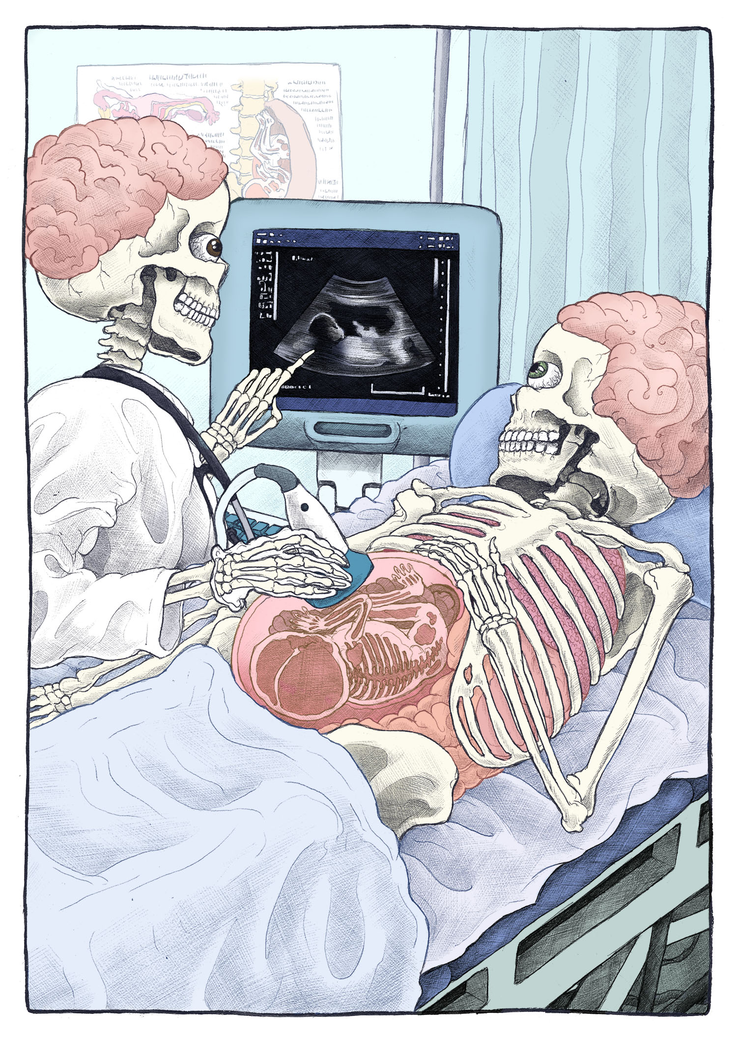 Bare Bones - Ultrasound.jpg