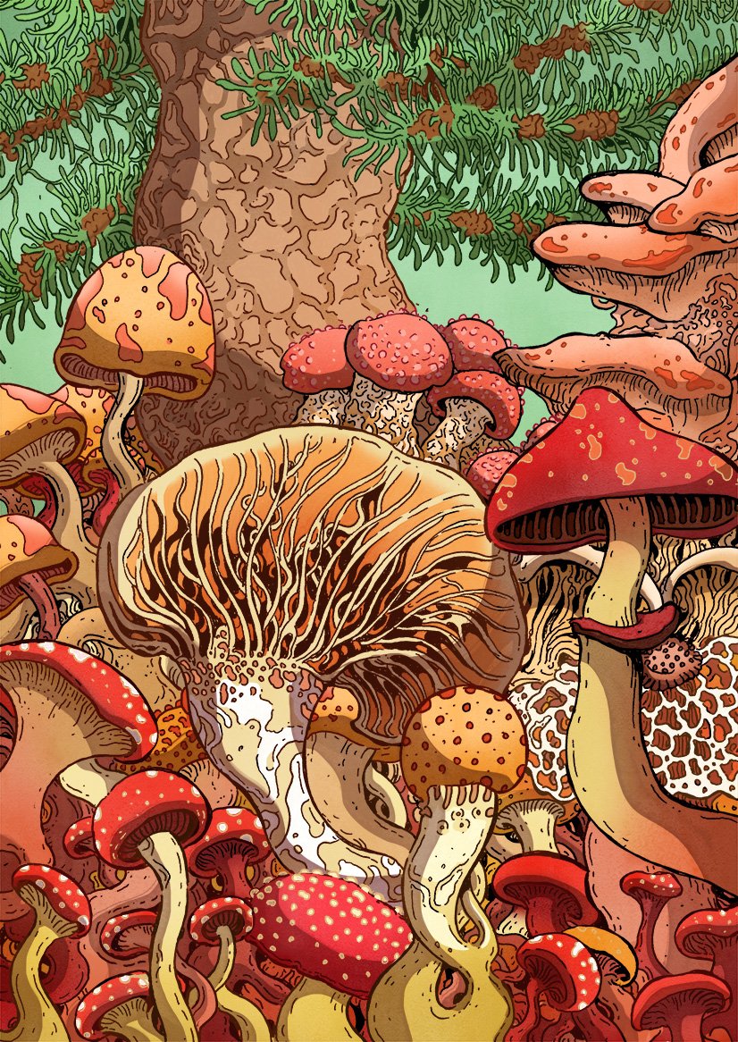 mushrooms? copy.jpg