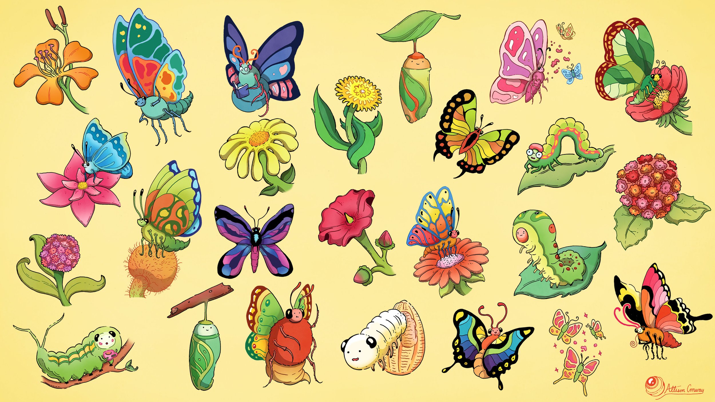 Butterfly Bonanza