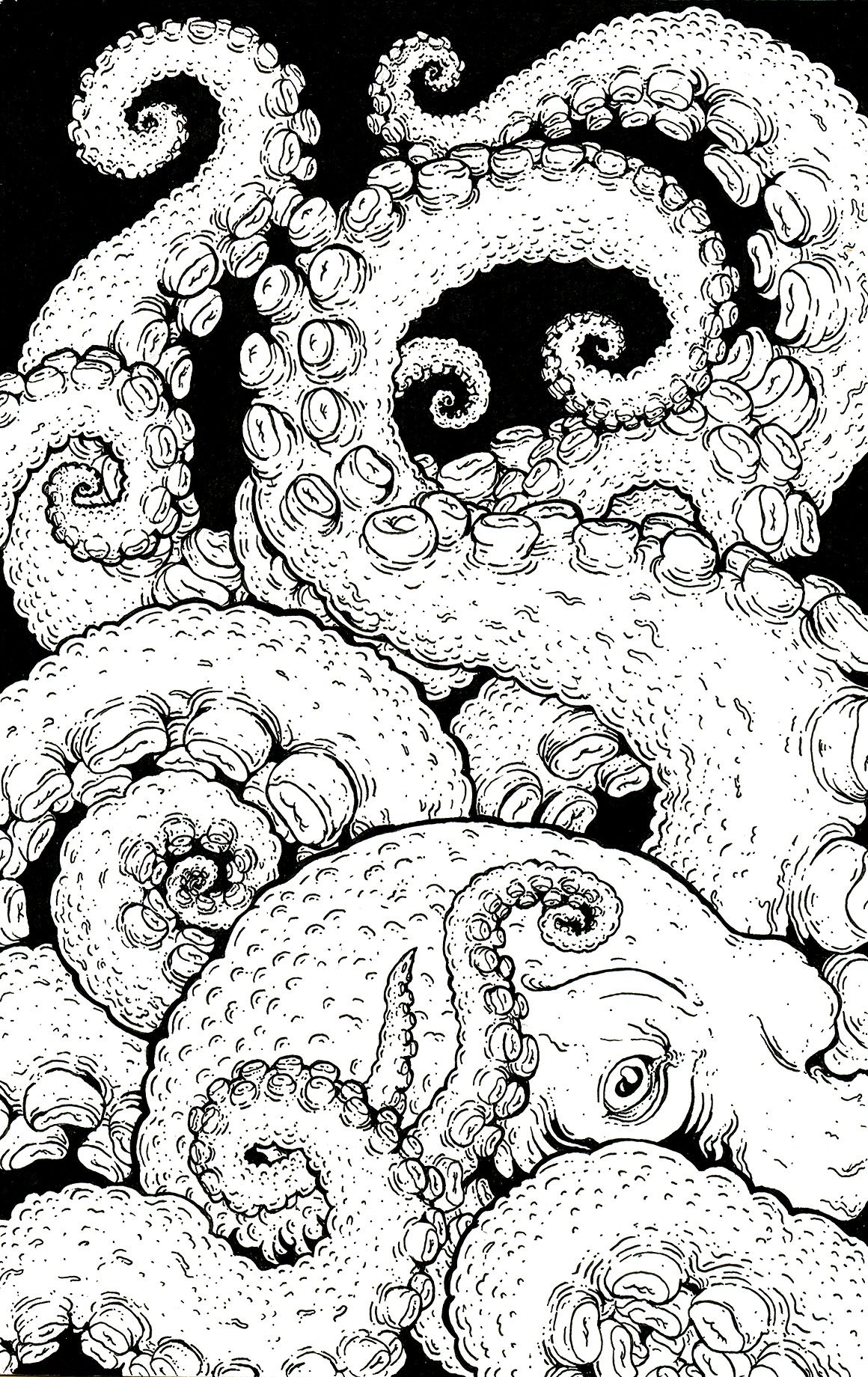 Octopus Sketch copy.jpg