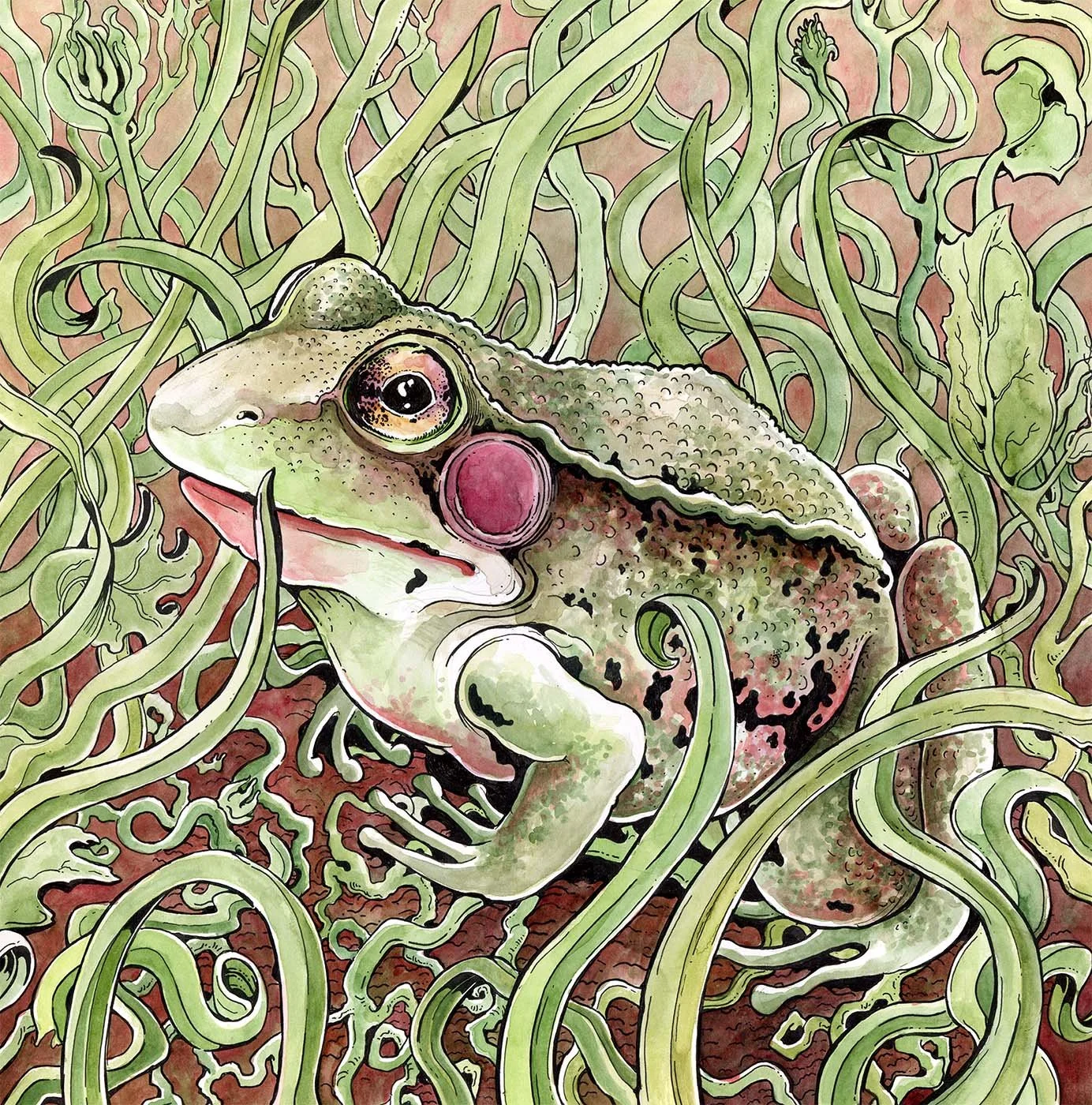 Frog copy.jpg