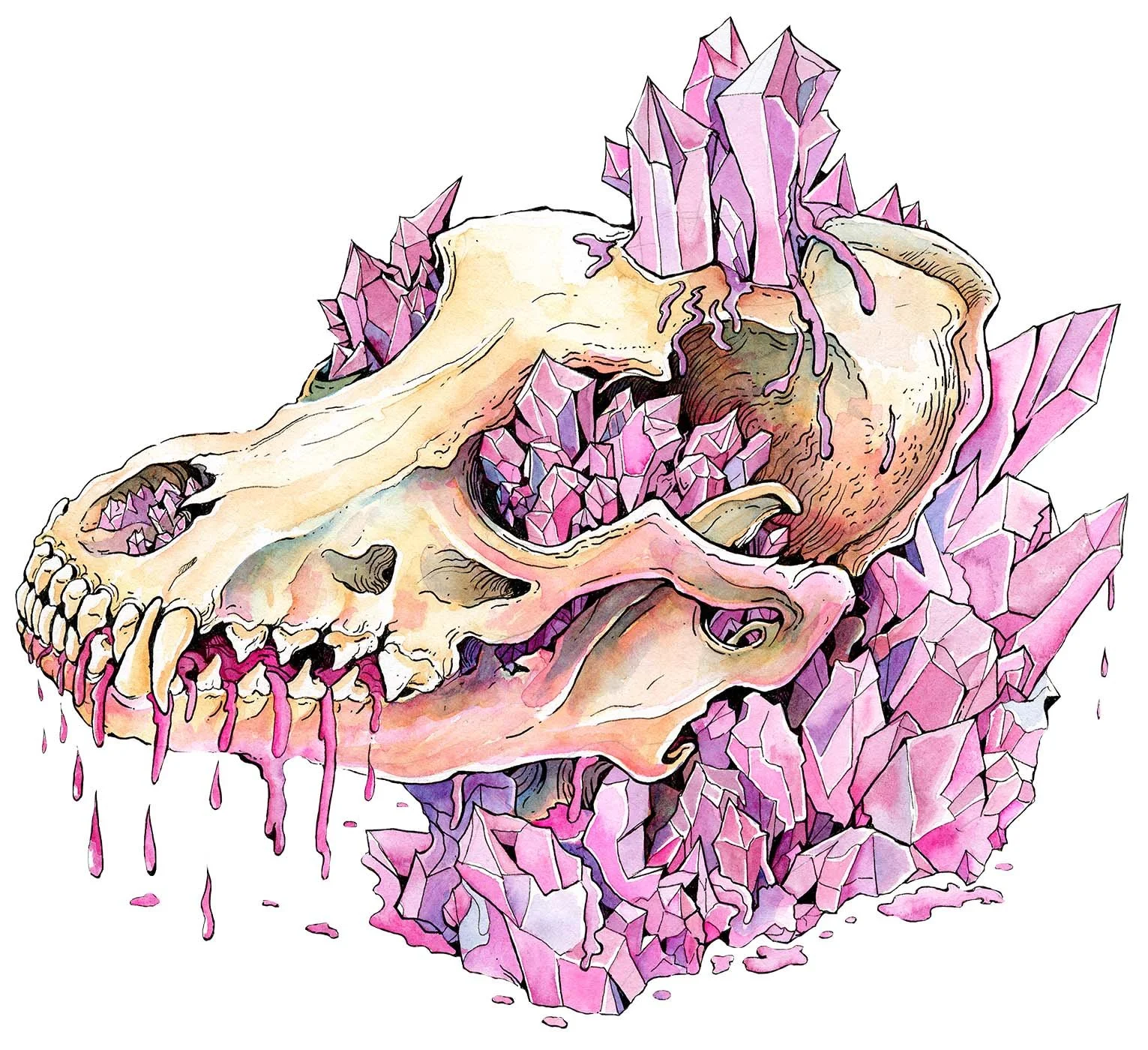 coyote skull crystals.jpg