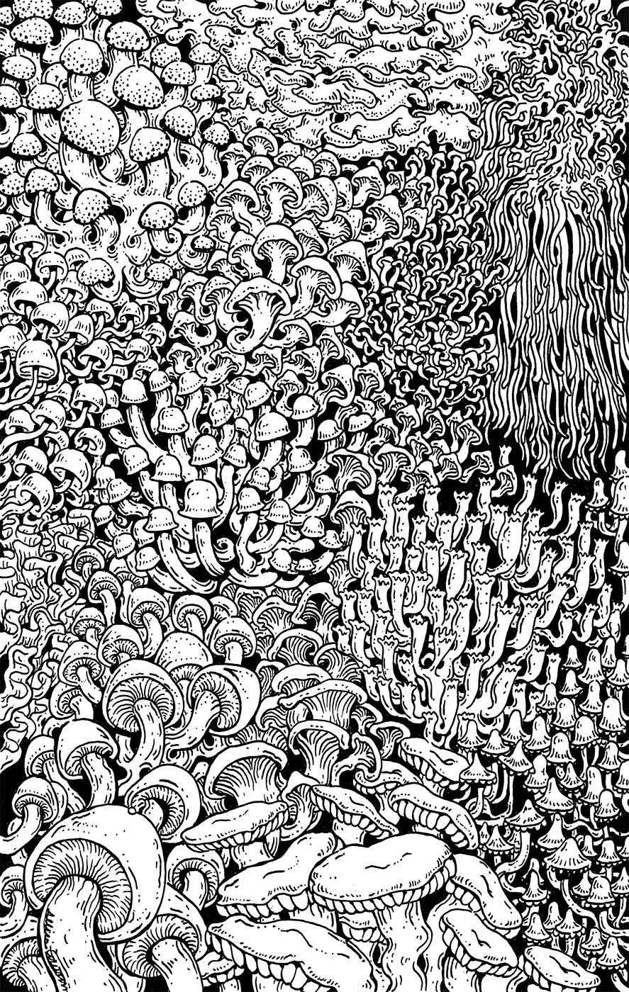 mushrooms.jpg