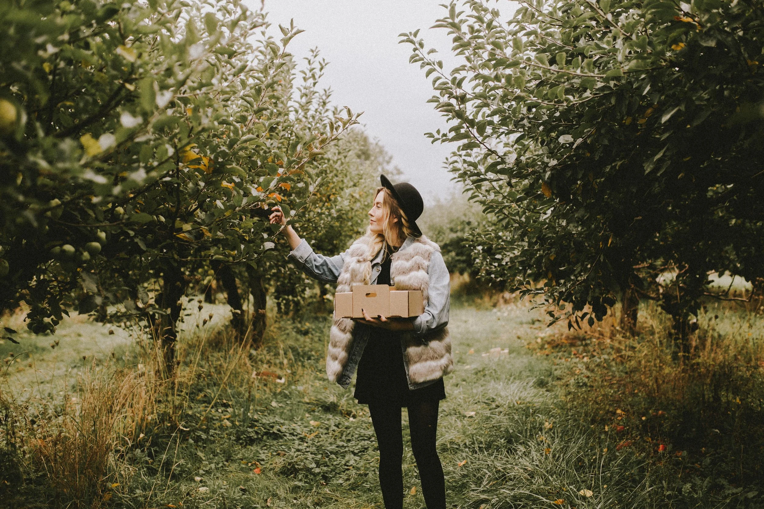 samlandreth-apple-3.jpg