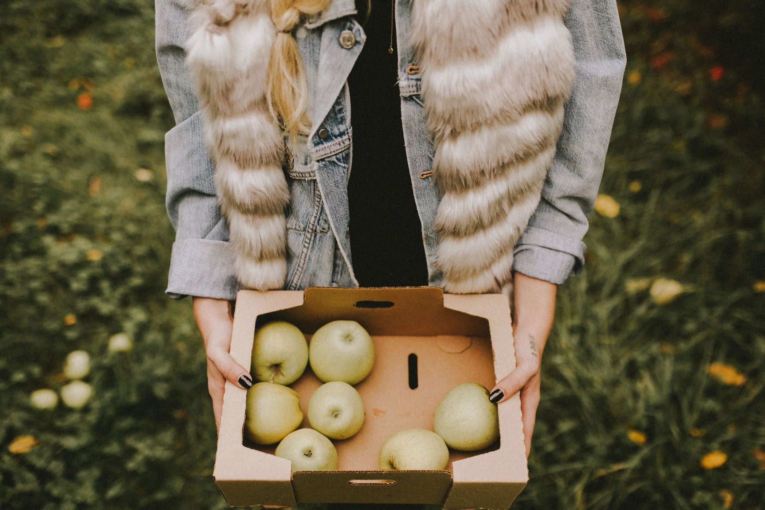 samlandreth-apple-6.jpg