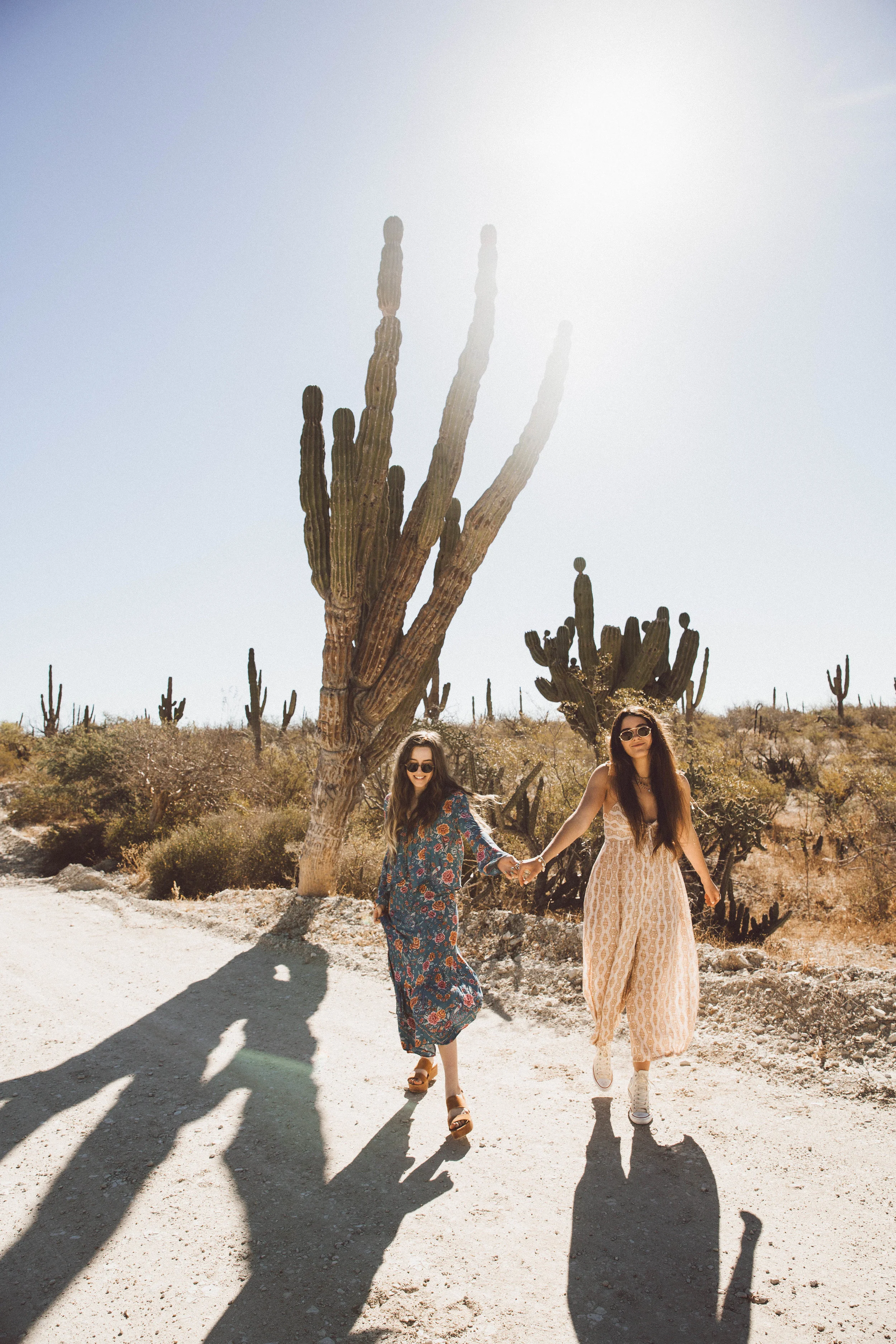 samlandreth-golapaz-cacti-29.jpg