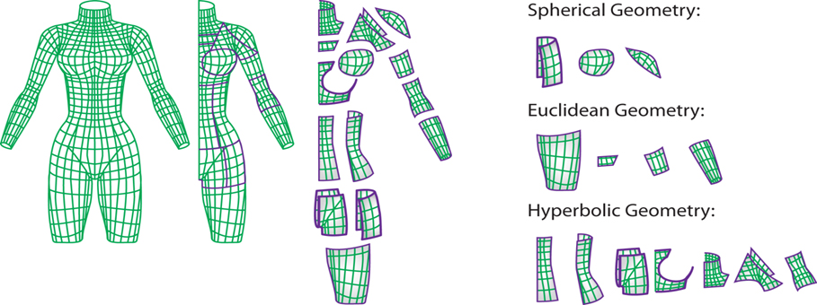 Parts of the body have different curvatures which have different geometric properties and mathematical rules.