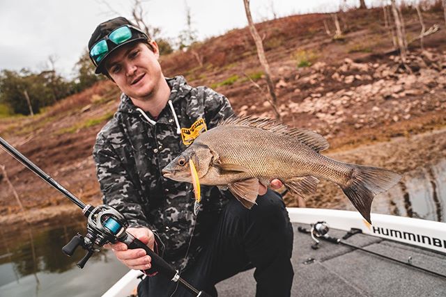 Silver Perch on the #DoubleClutch. Nothing beats Lemon Sight Special!
@tideapparel
@daiwaaustralia
#TeamDaiwa
#TideApparel