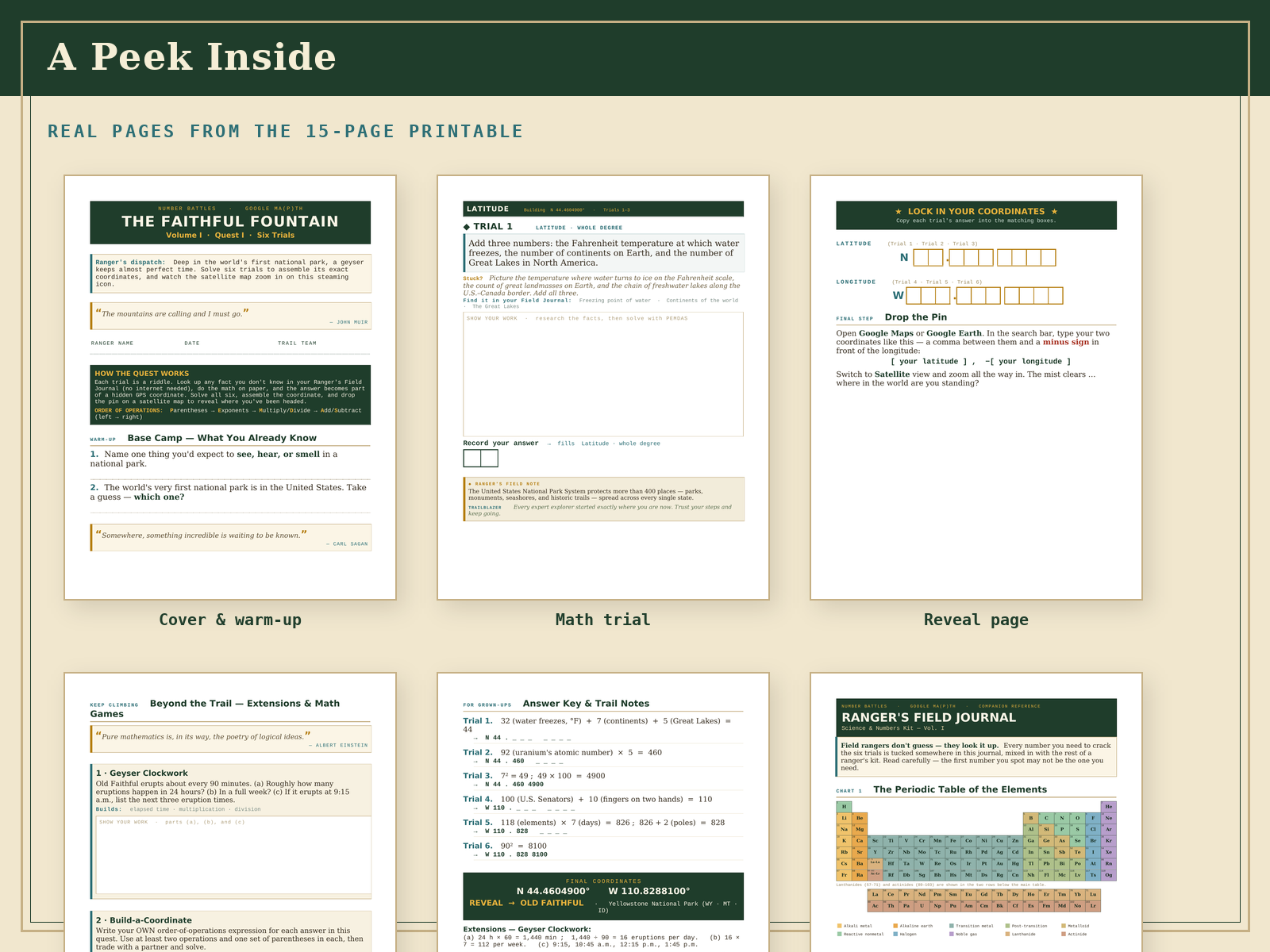 4_page_showcase.png