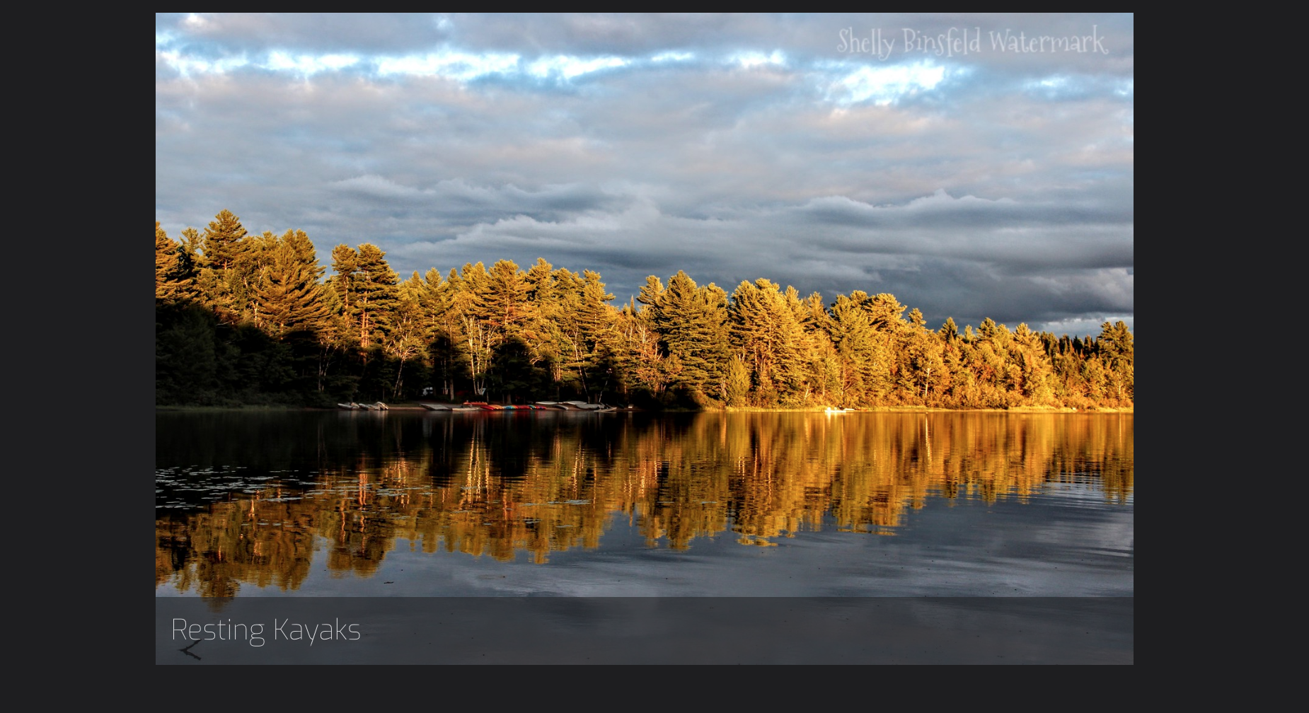 Visit my Photography site at https://shellybinsfeld.smugmug.com/