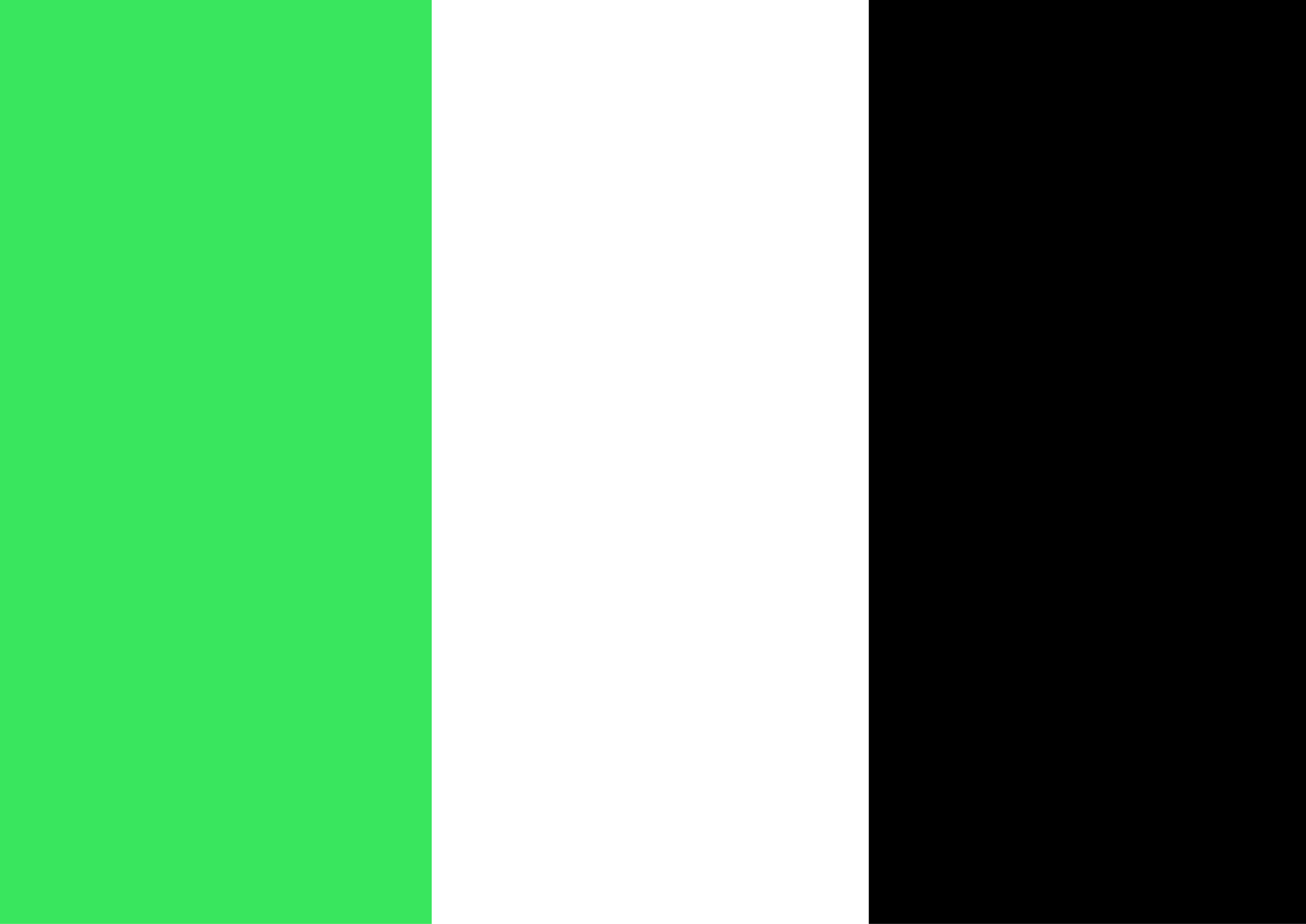 Green Flag Brand World-01.png