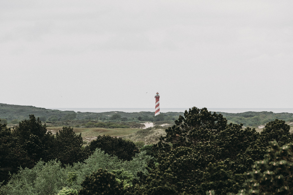 Evabloem-MoveYourVan-Zeeland-0361.jpg