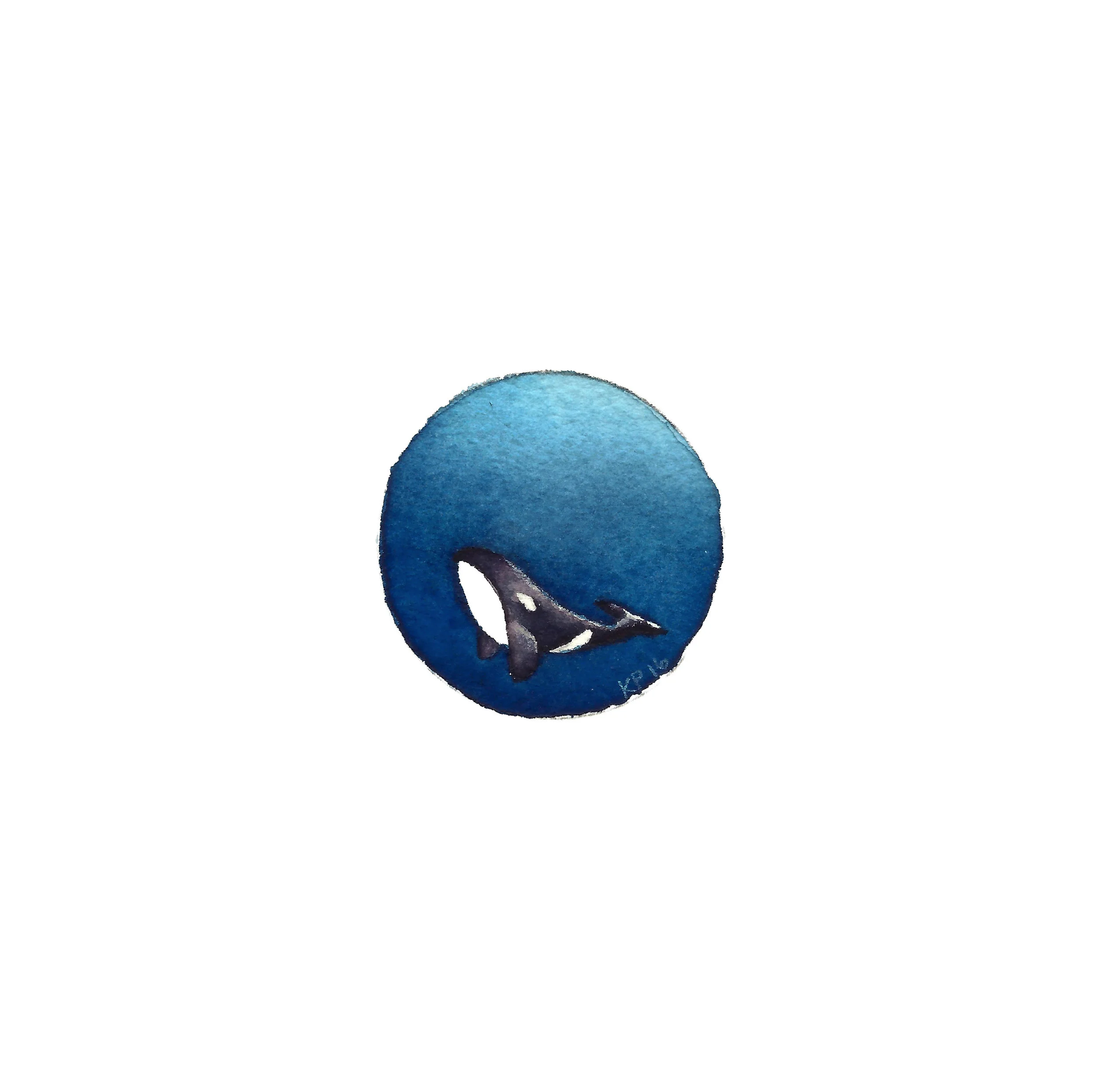 Orca.jpg
