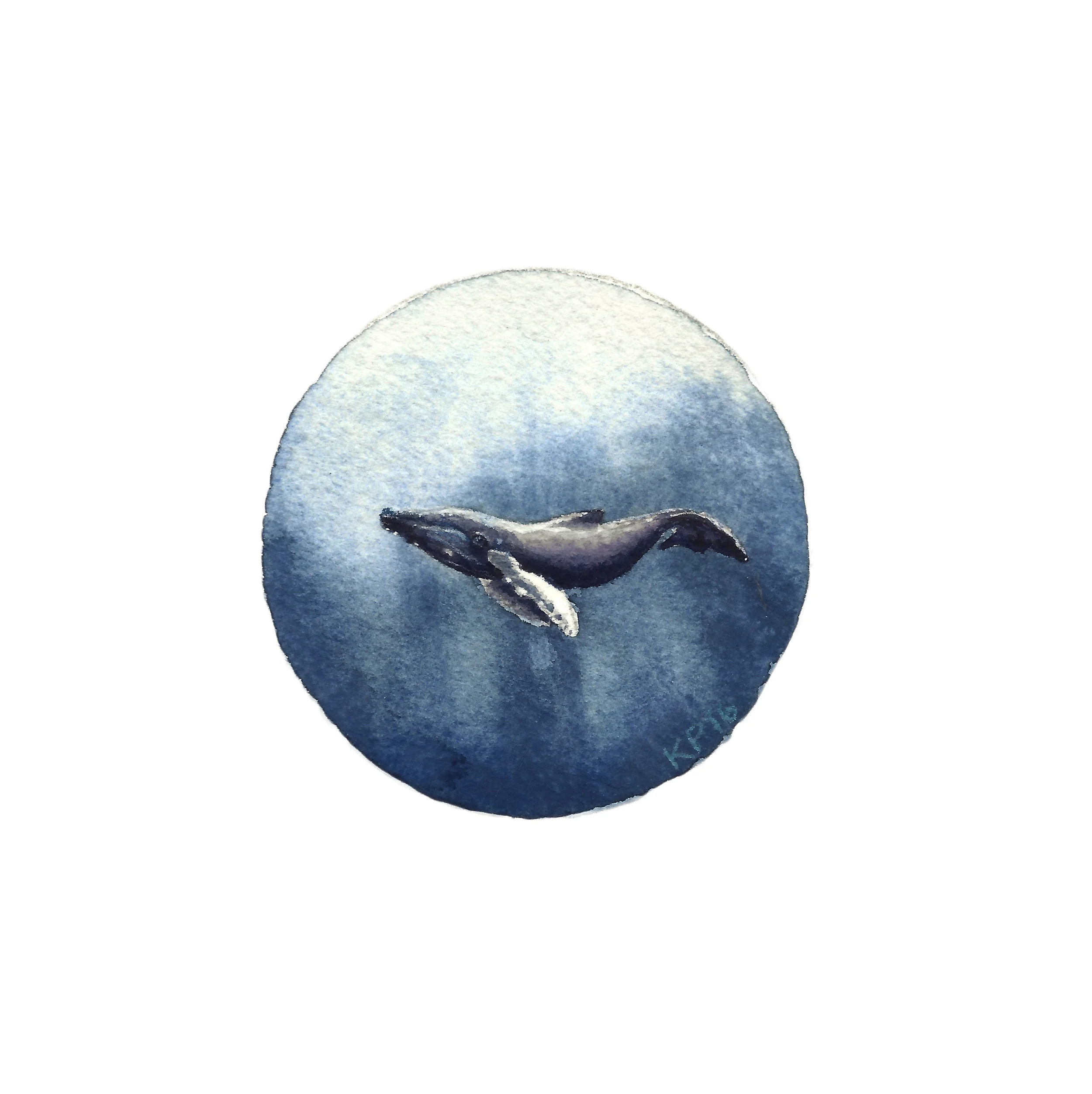 Humpback2.jpg