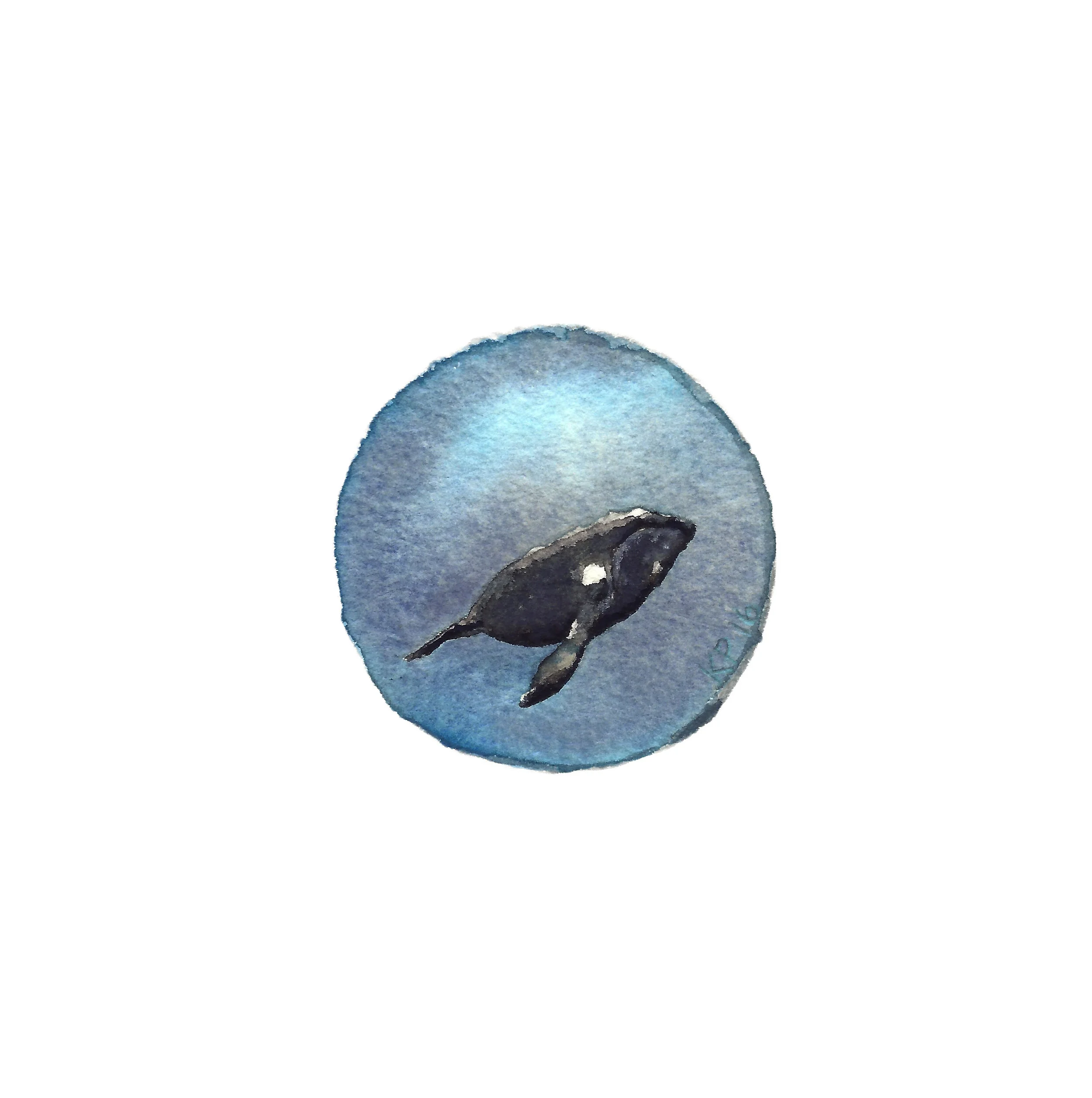 Right Whale.jpg