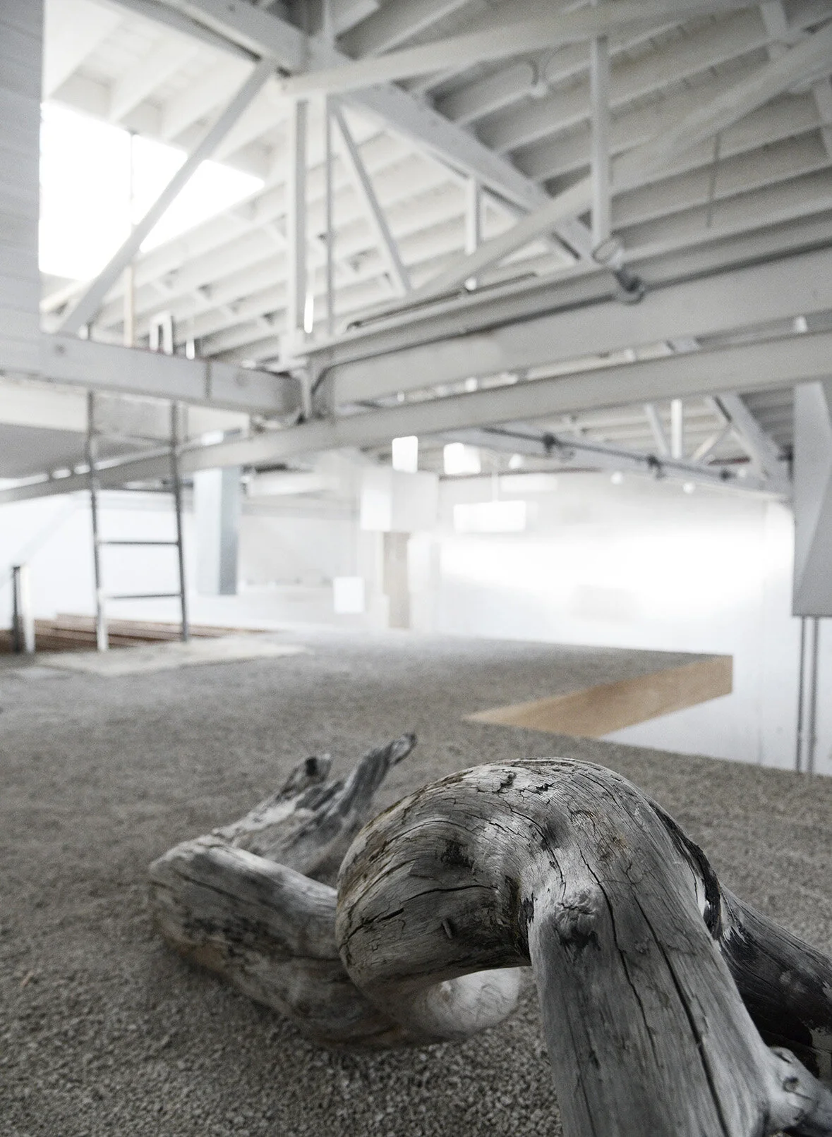 uppergarden copy.jpg