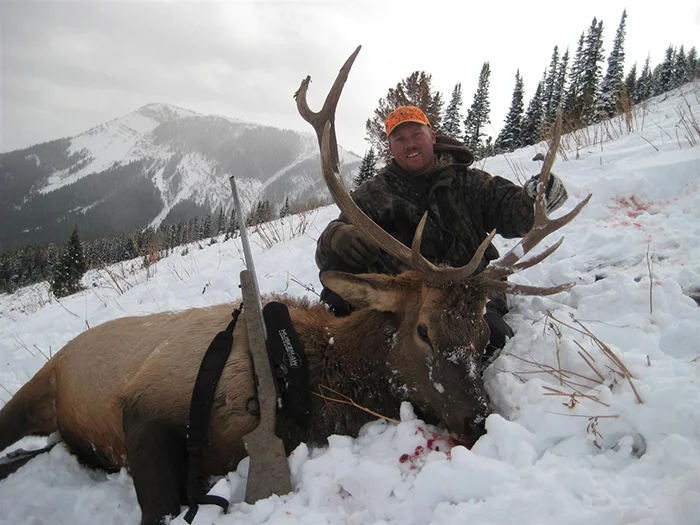 This elk was taken at 610 yards