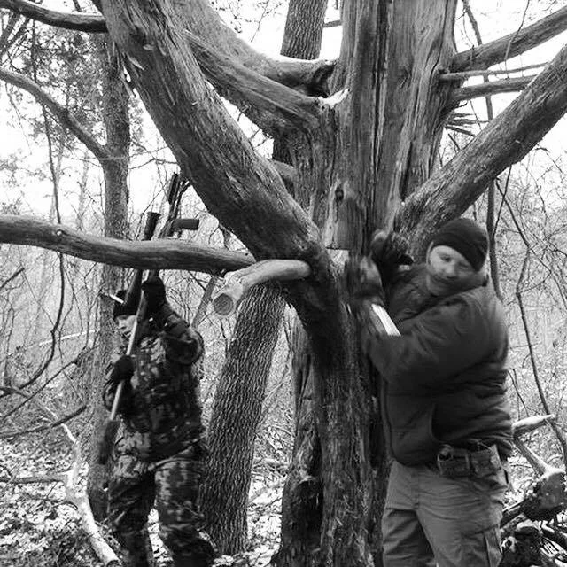 getting gear over the tree limb