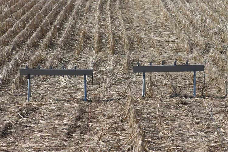 Dualing Varmint Challenge targets!