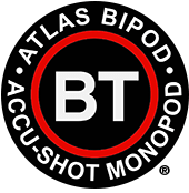 bt-logo3.png