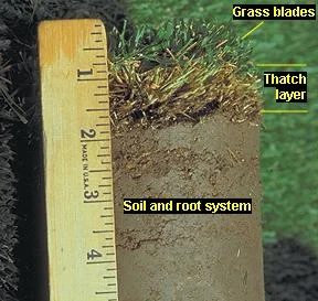 Reno Lawn Dethatching