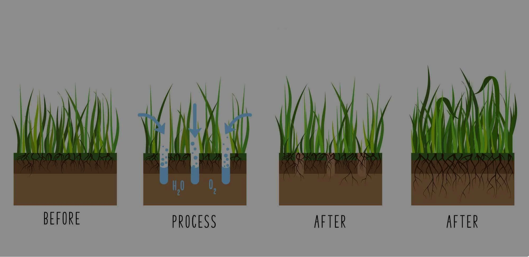 The Importance of Aerating Your Lawn