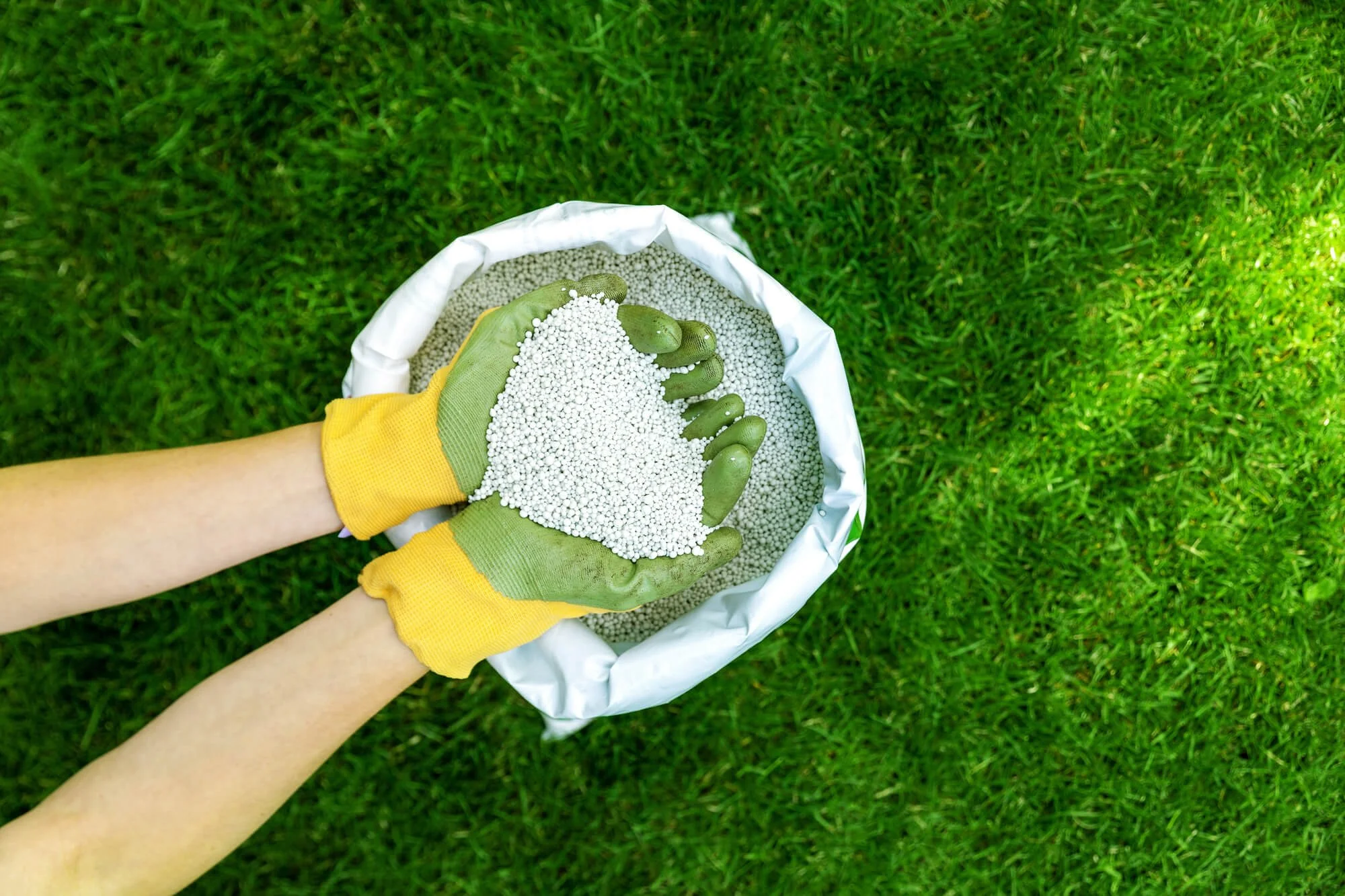 When Should I Fertilize My Lawn in Reno?