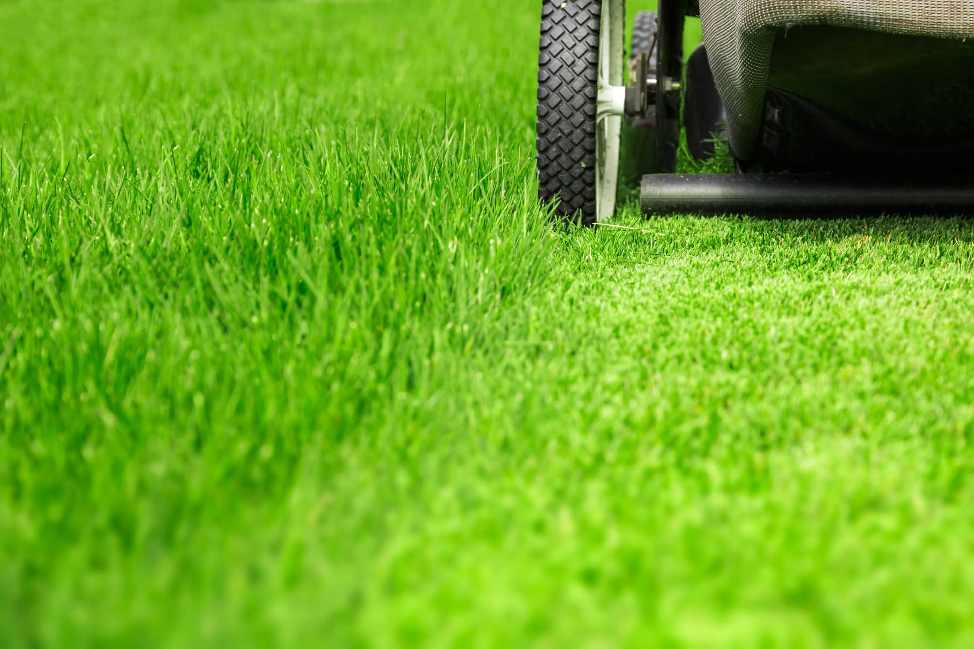 Can I Mow The Lawn After Fertilizing?