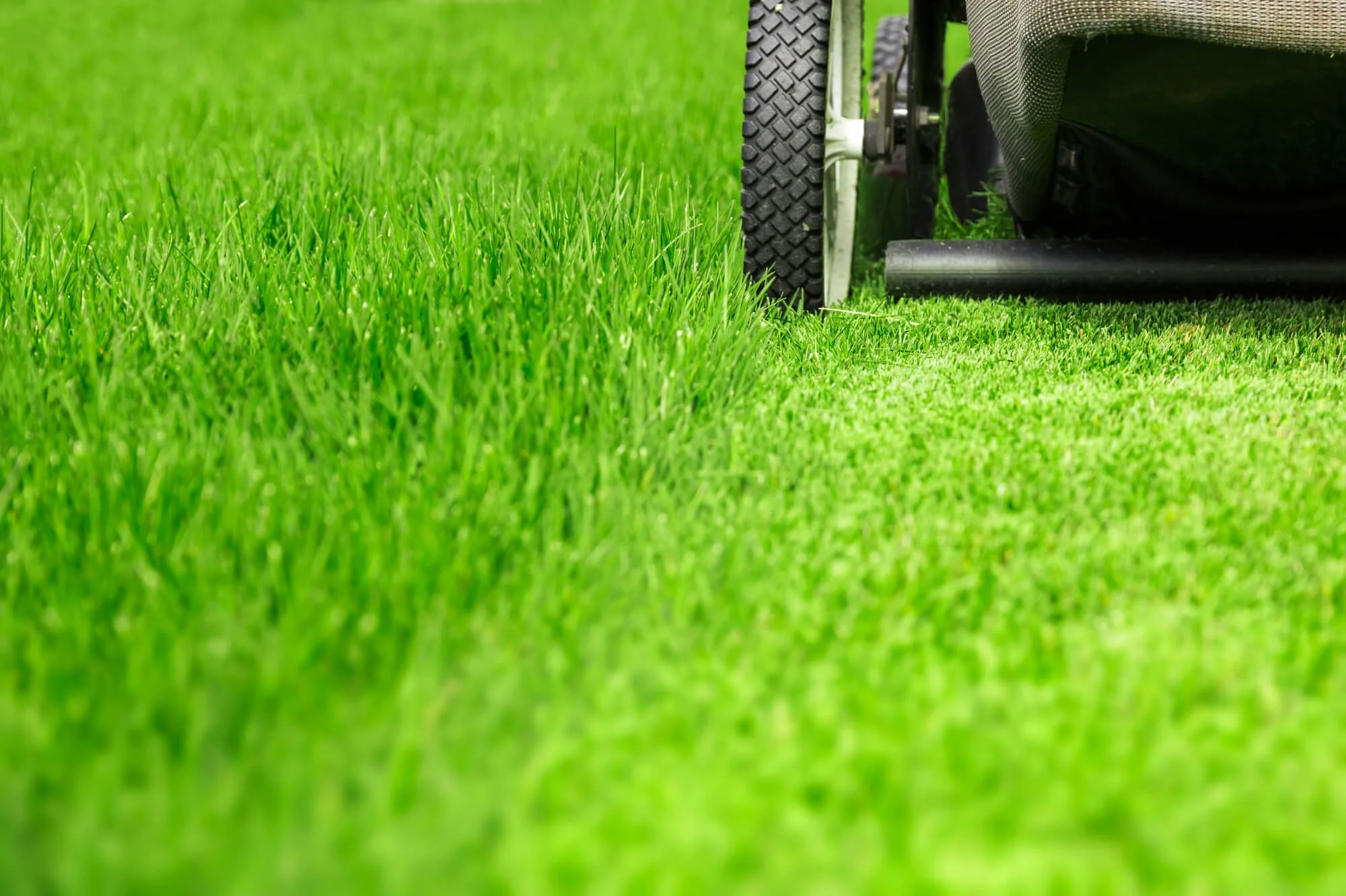 Mesmerizing How Long After Fertilizer Can I Mow View for Desktop Mesmerizing How Long After Fertilizer Can I Mow View for Desktop
