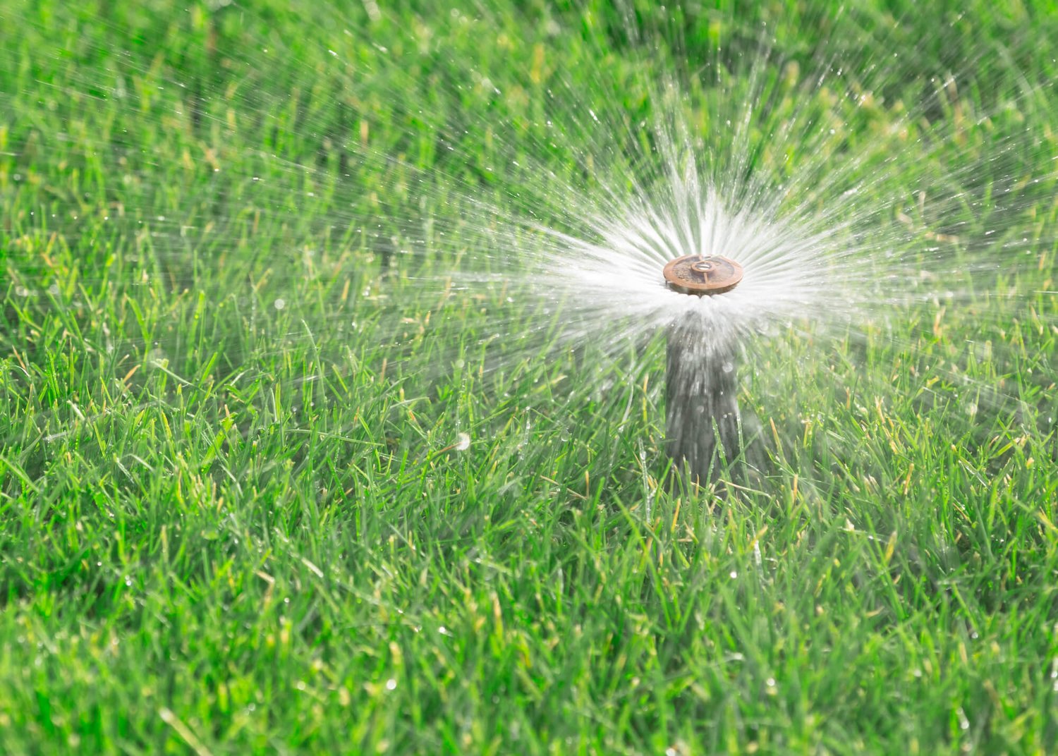 How to Protect Sprinkler Heads from Lawn Mowers  