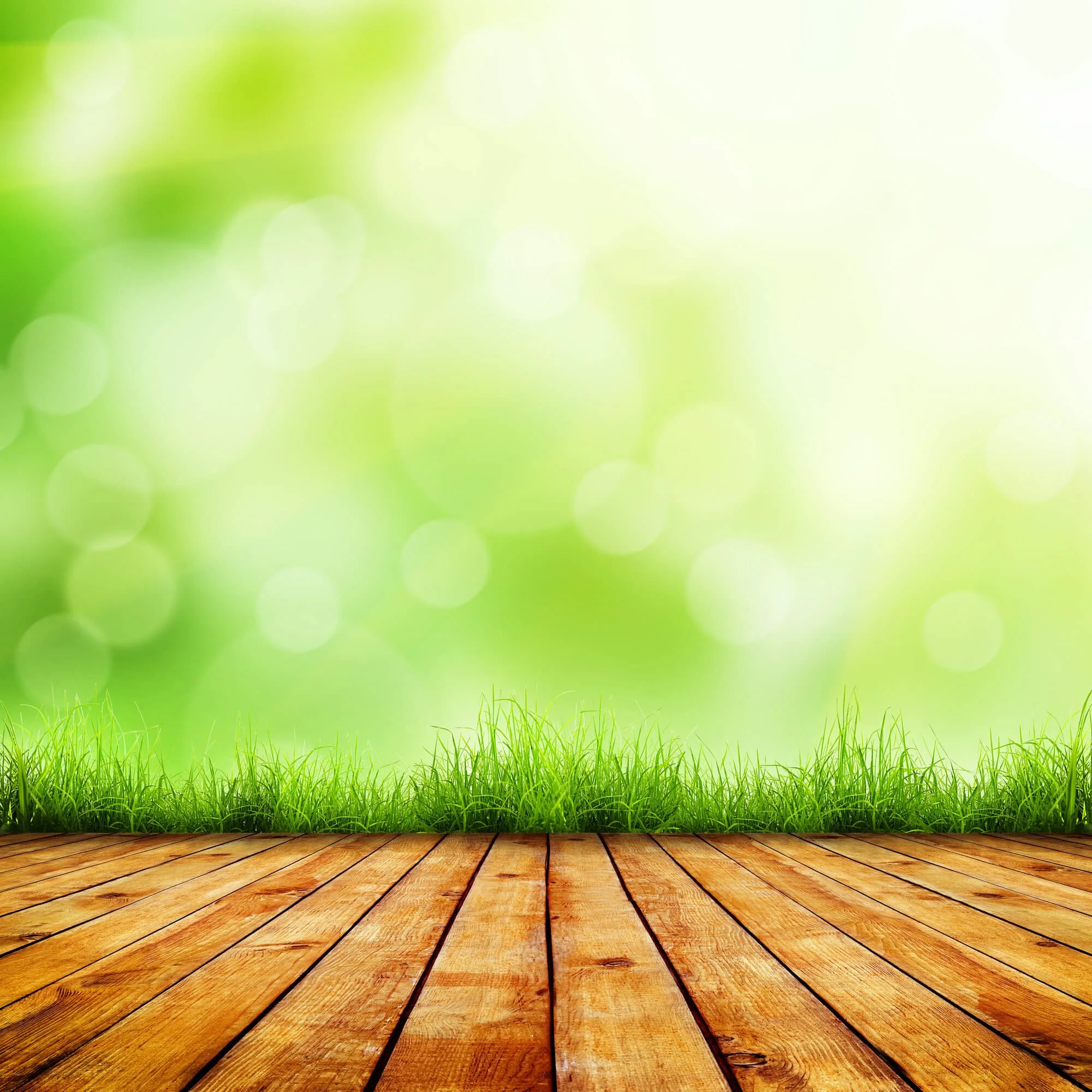 Prevent Thatch Buildup Keeping Your Lawn Lush This Spring Prevent Thatch Buildup Keeping Your Lawn Lush This Spring