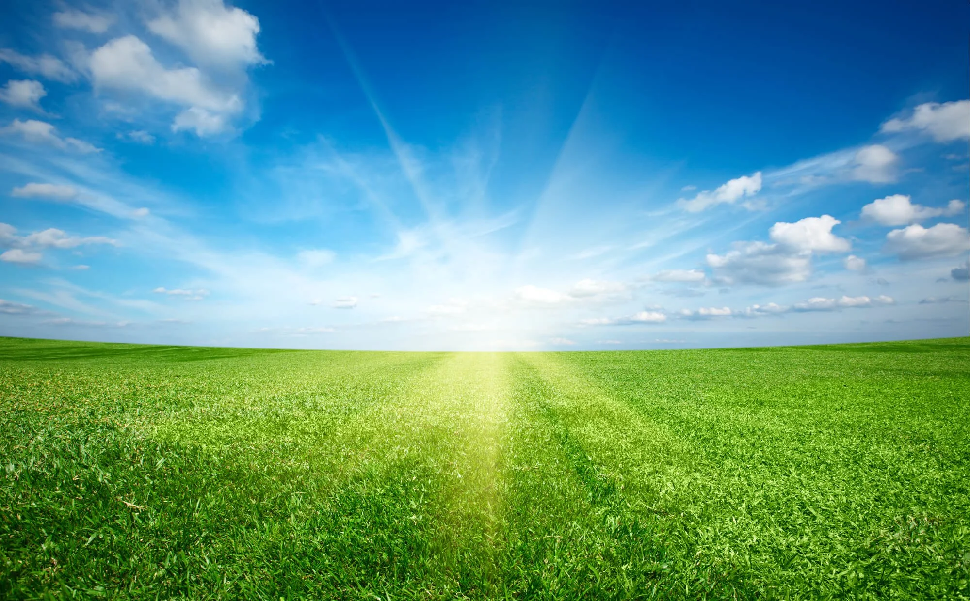 What Temperature Is Too Hot To Water The Grass? — Residential Lawn Care