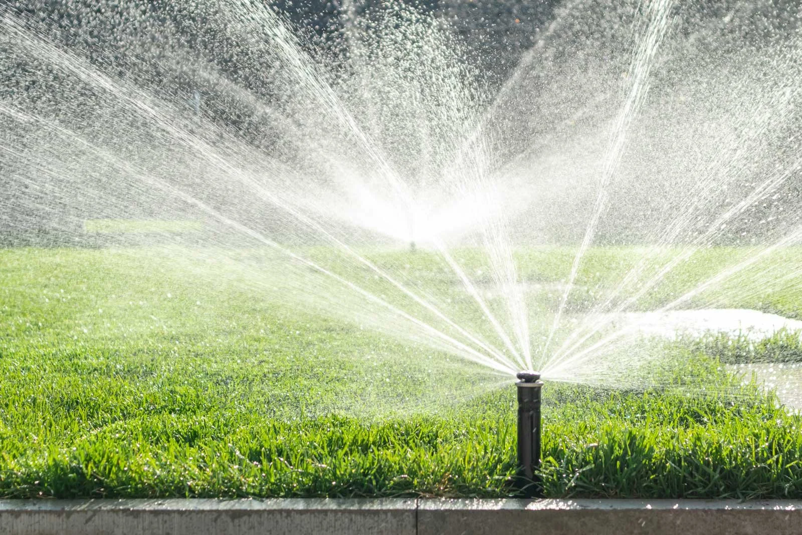 Thirsty Lawn? Top Irrigation Methods for Water Efficiency — Residential