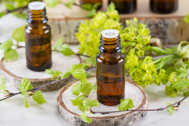The Best Essential Oils for Pest Control  Residential Lawn Care Reno &  Sparks | Cory's Lawn Service