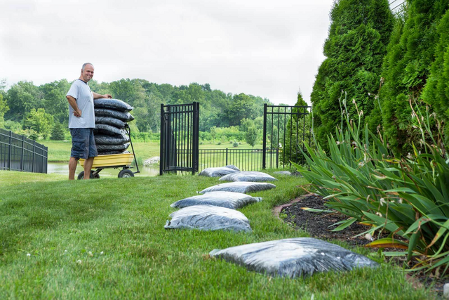 Balancing Weed Control and Lawn Health in Reno