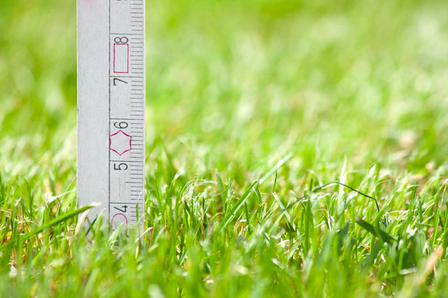 How Short To Cut Grass in Spring: Grass Mowing Height 101