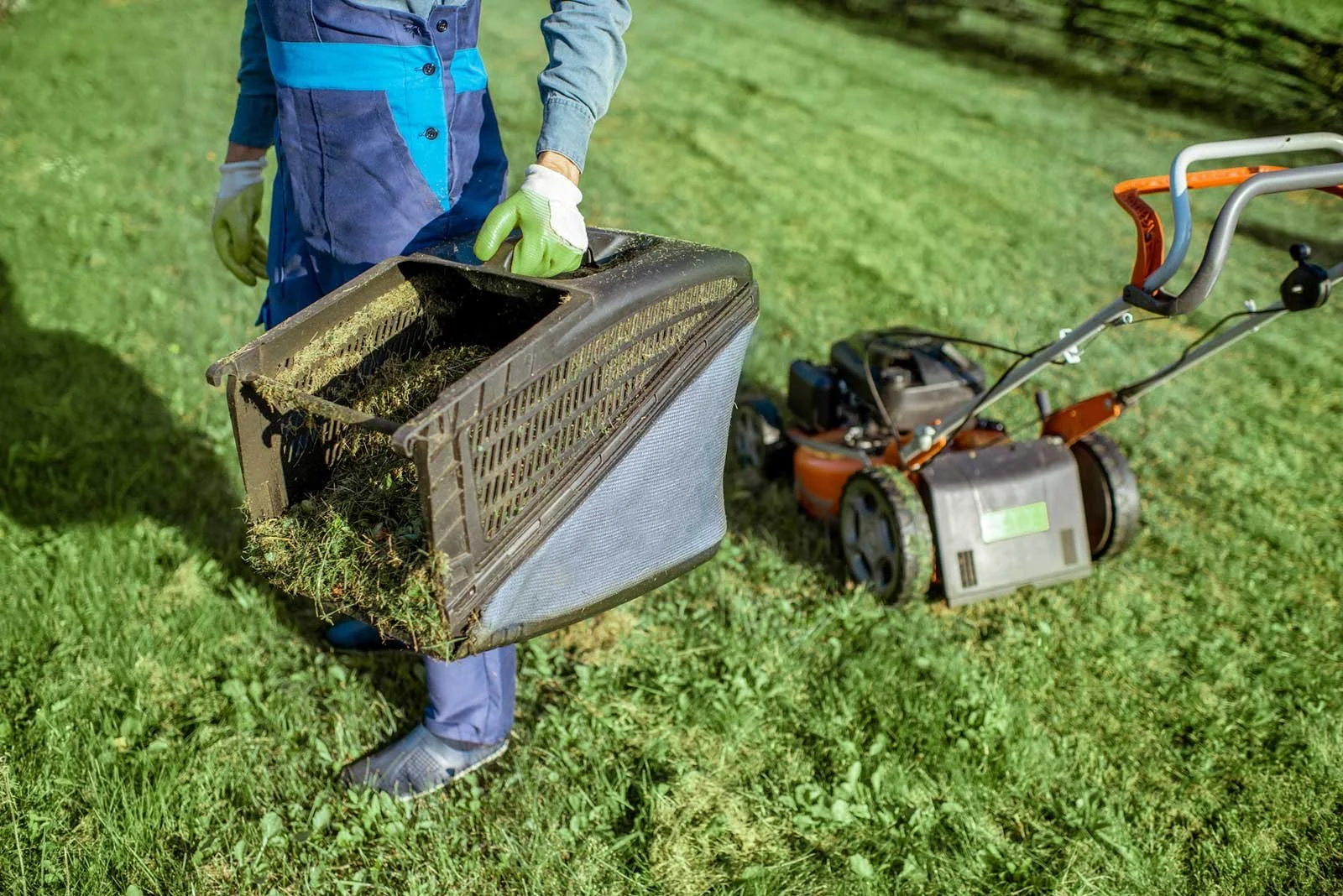 When to Mulch vs Bag Know the Differences in Mowing Methods