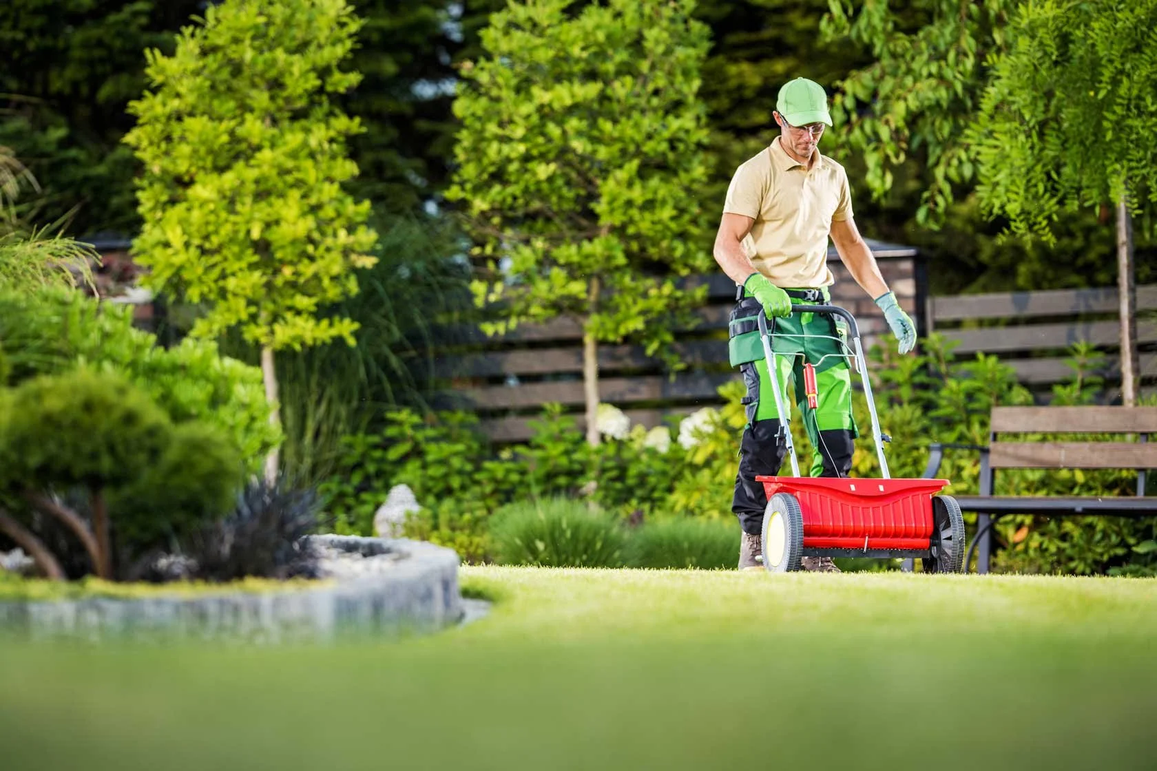 Lawn Care 101: DIY vs. Professional Services