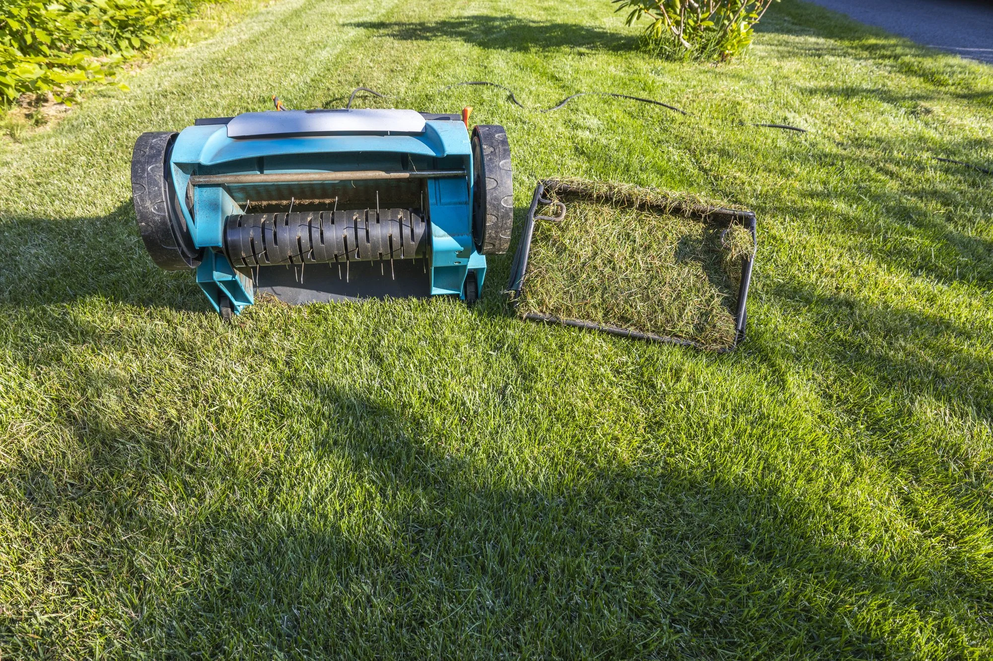 The Ultimate Guide to Aeration and Overseeding in Northern Nevada