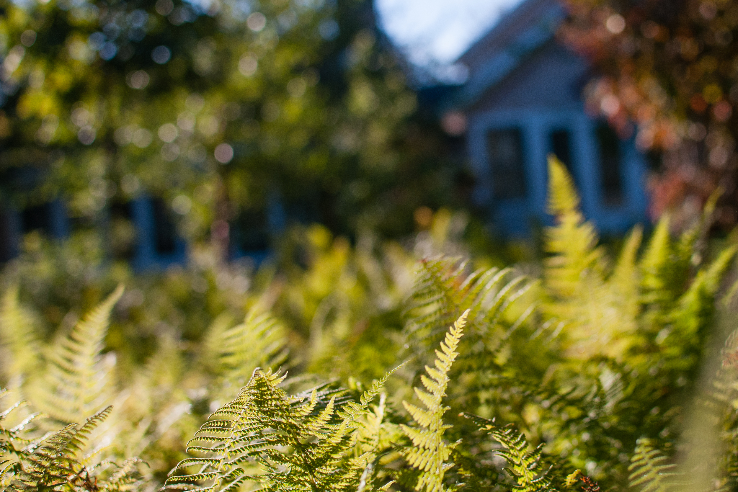 20150927-DSC_1136.jpg
