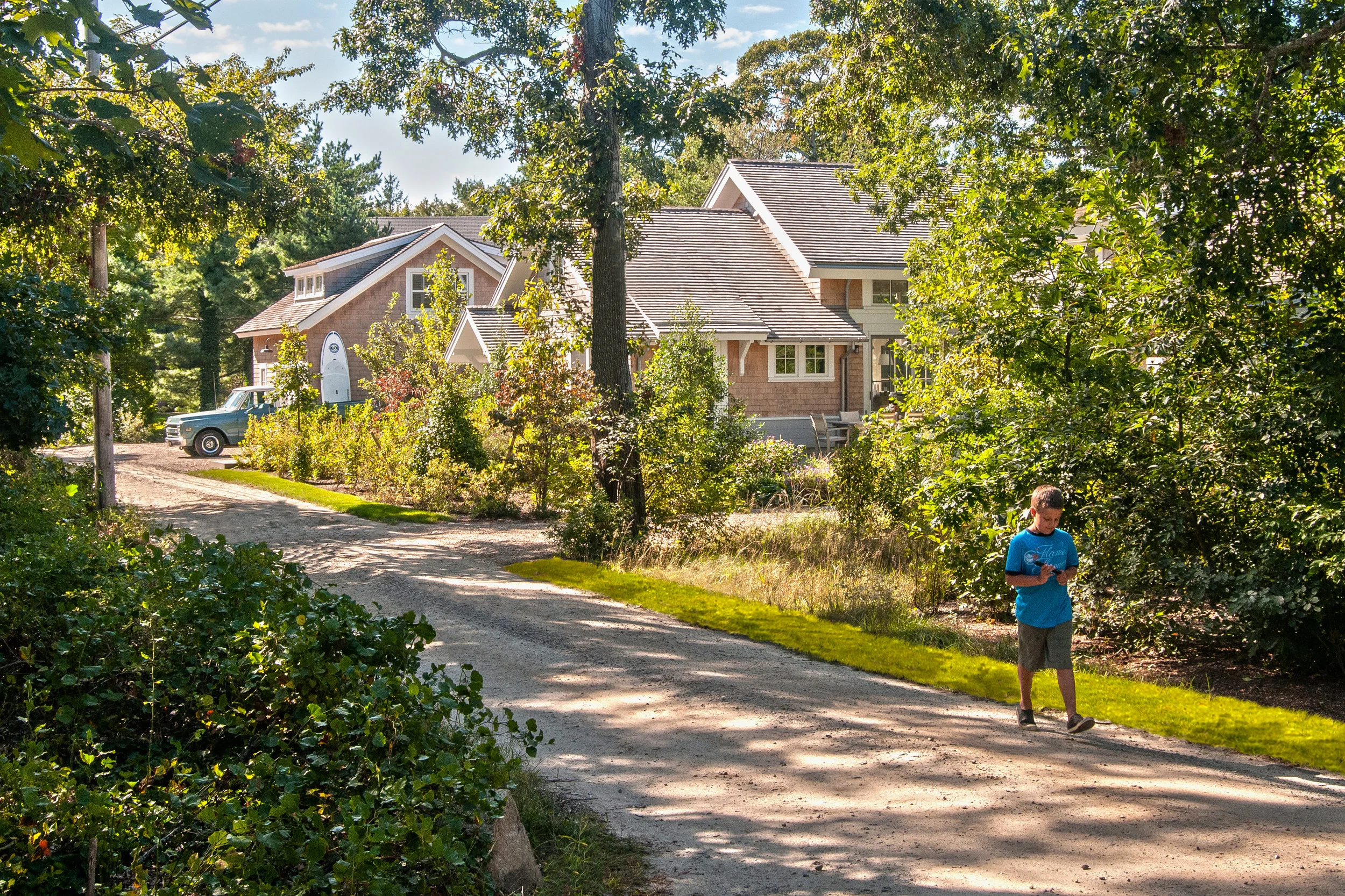 20150927-DSC_2003-help tree see edit comments.jpg