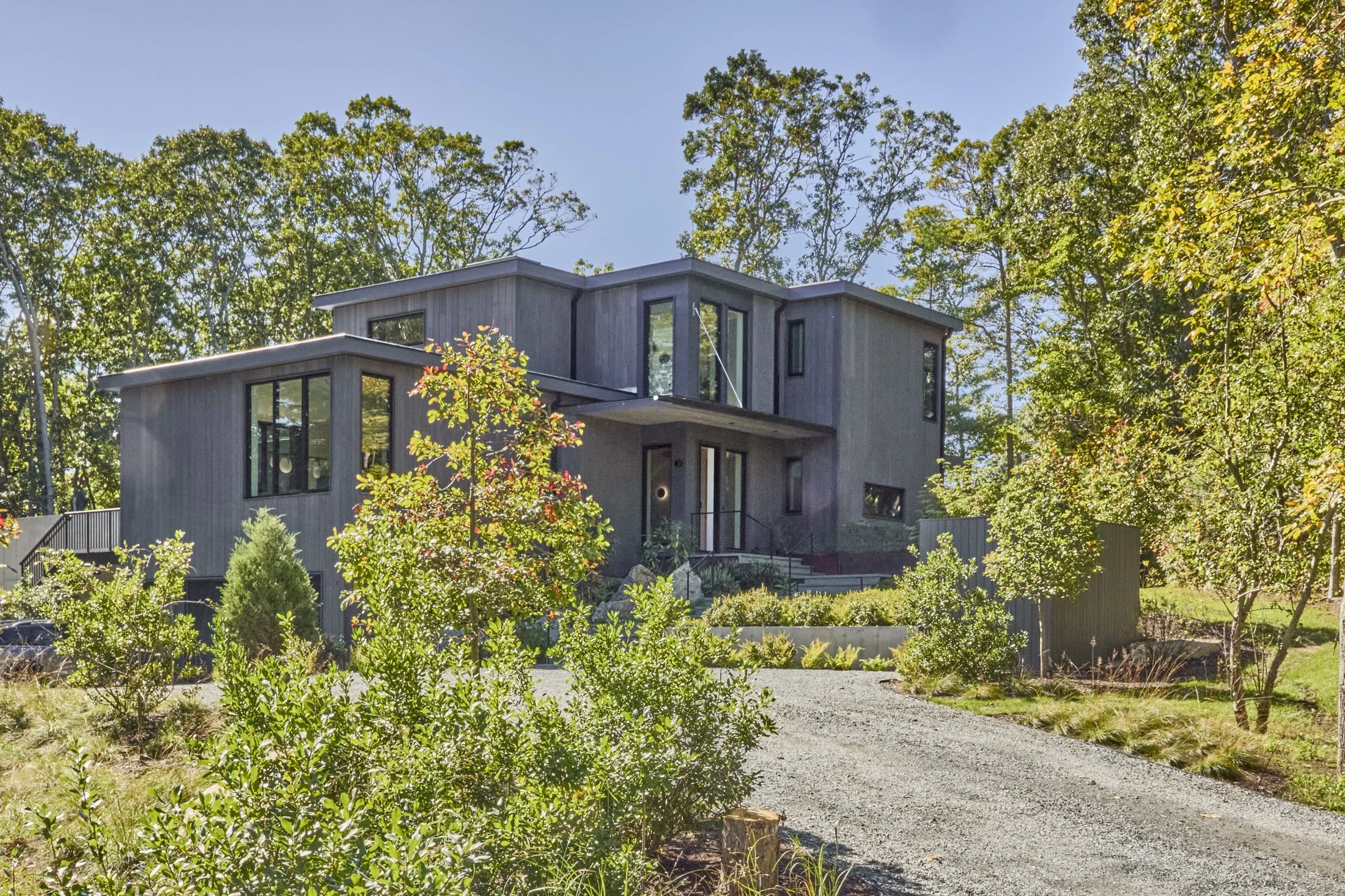 Rewilded by Design