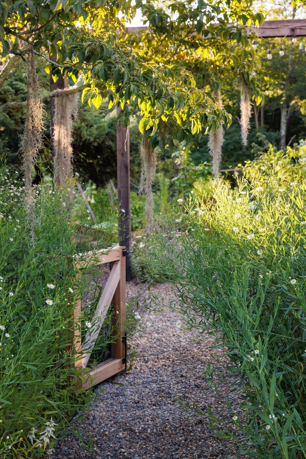 The Meadow House