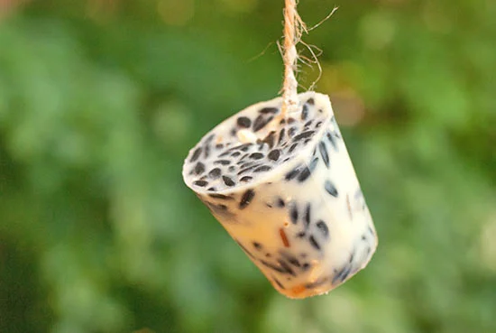 Homemade_Bird_Feeder_Tutorial_main.jpg