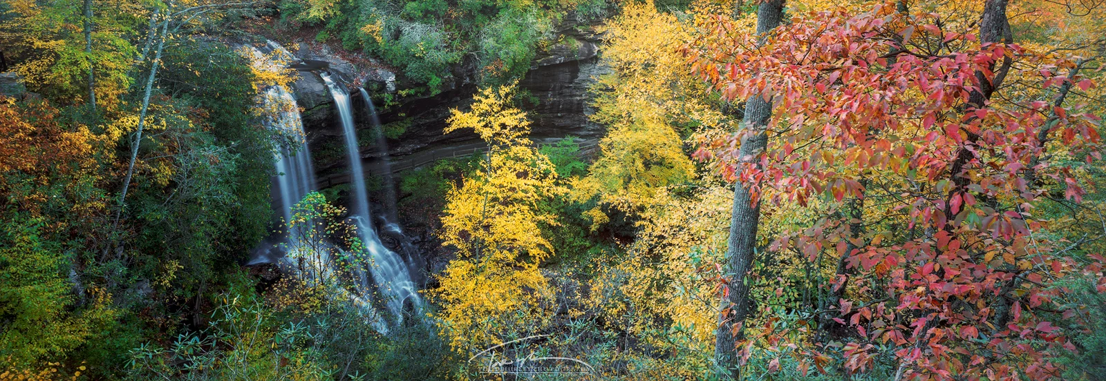 Autumn Bliss