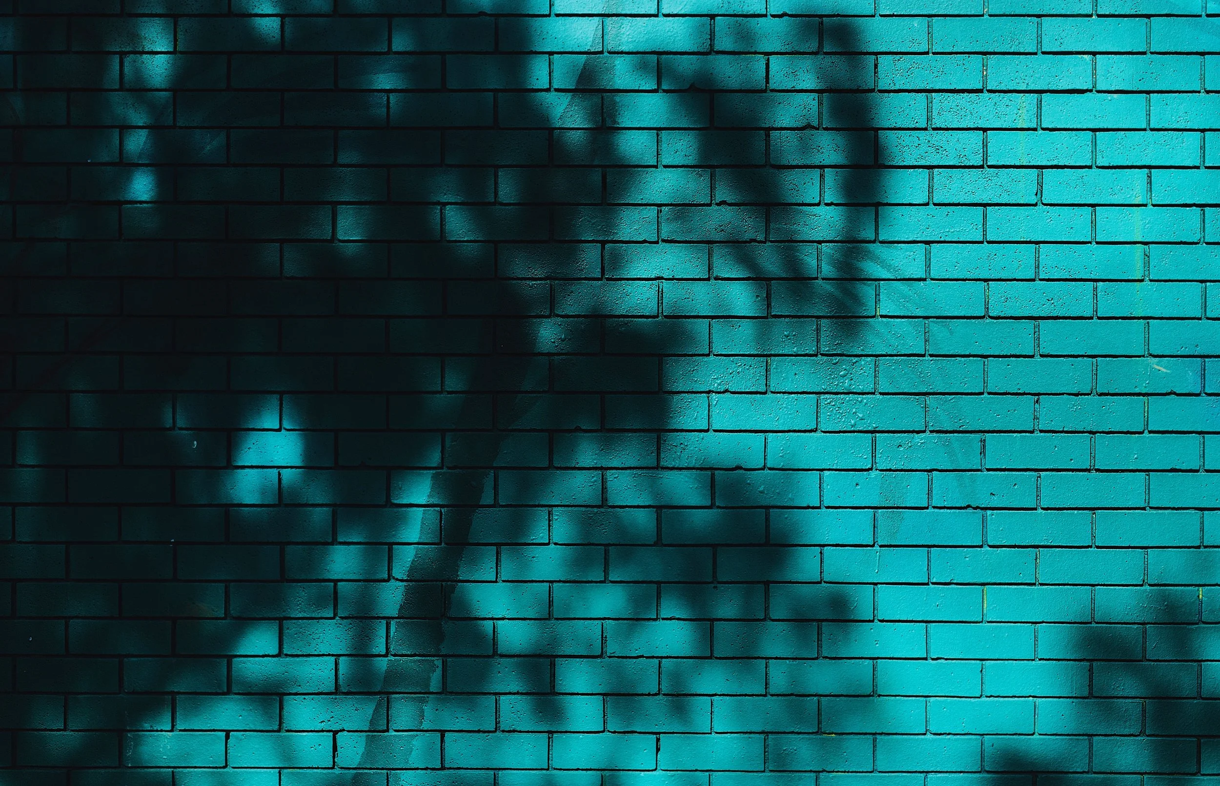 Mur bleu.jpg
